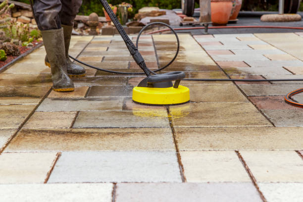Animal Enclosure Cleaning in Port Monmouth, NJ